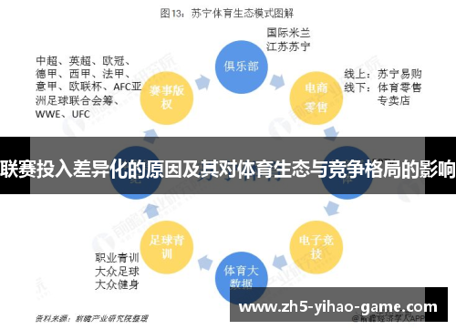 联赛投入差异化的原因及其对体育生态与竞争格局的影响
