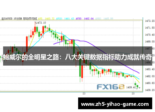 鲍威尔的全明星之路：八大关键数据指标助力成就传奇